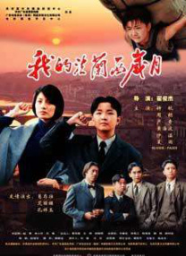 国内精品久久久久久久